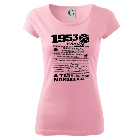 1953 v kostce