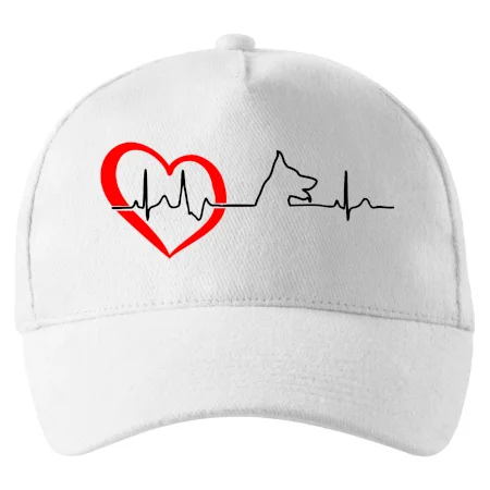 Německý ovčák ekg
