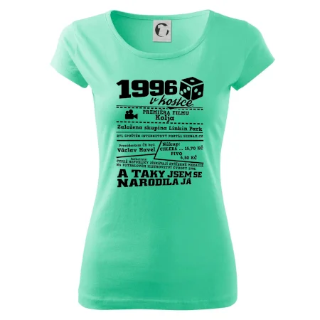 1996 v kostce