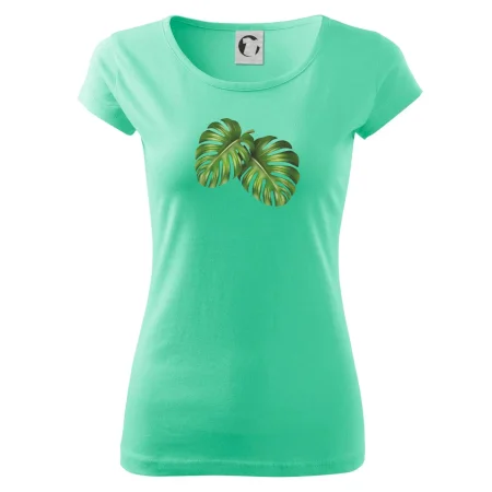 Monstera - dva listy