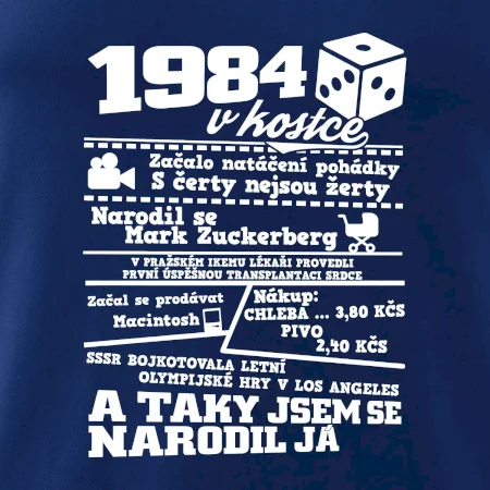 1984 v kostce