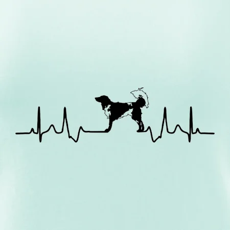 Český strakatý pes EKG