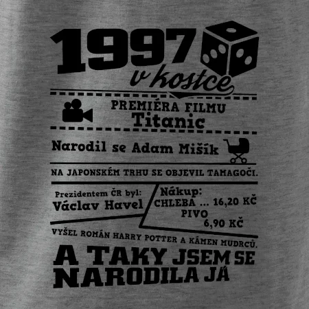 1997 v kostce