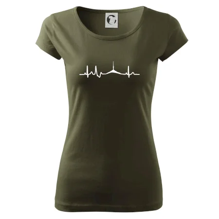 Ekg Jeseníky
