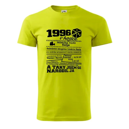 1996 v kostce