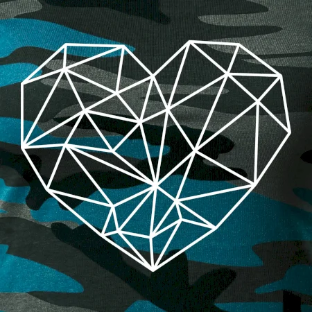 Srdce geometrie