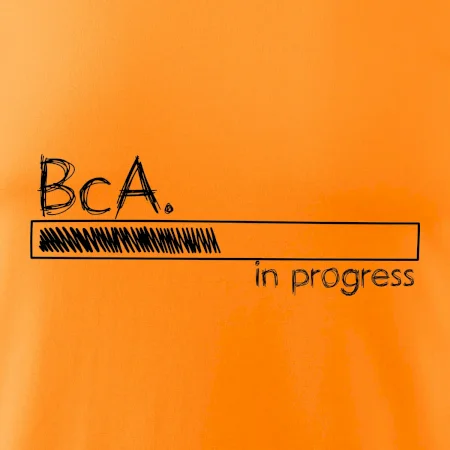 In progress  titul BcA. bakalář / bakalářka umění