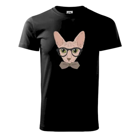 Hipster sphynx