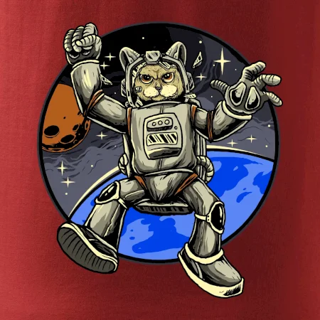 Kočičí astronaut