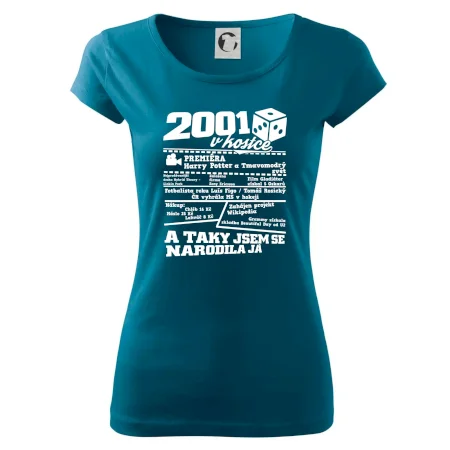 2001 v kostce