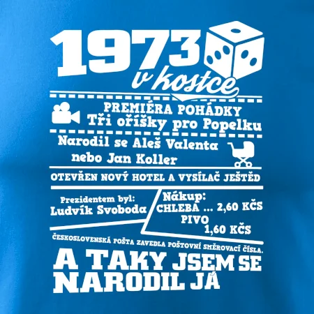1973 v kostce
