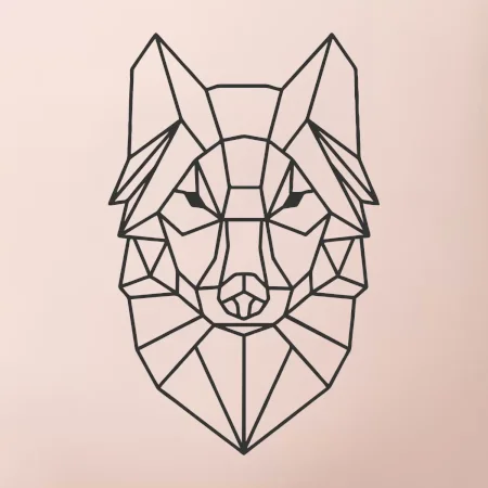 Geometrie - vlk