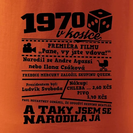 1970 v kostce