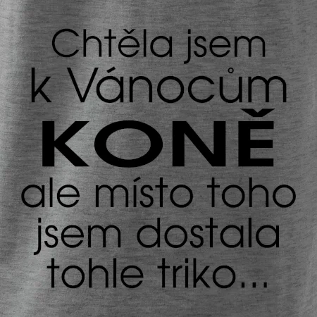 Chtěla jsem k Vánocům koně