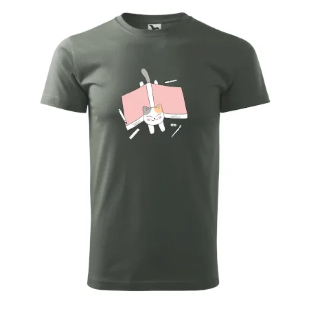 Učení na státnice kočka