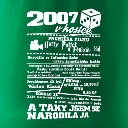 2007 v kostce