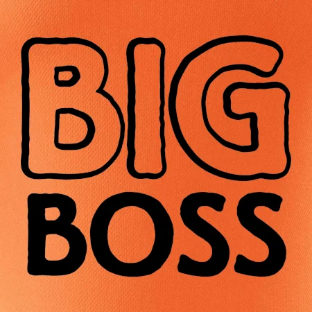 Big boss mini boss