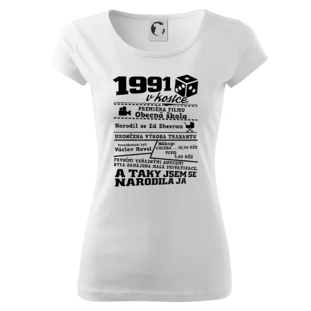 1991 v kostce