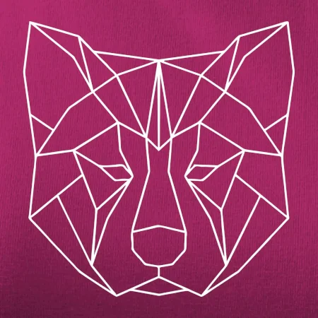 Akita Inu - Geometrie