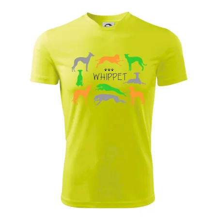 Whippet barevný