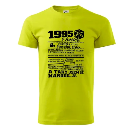 1995 v kostce