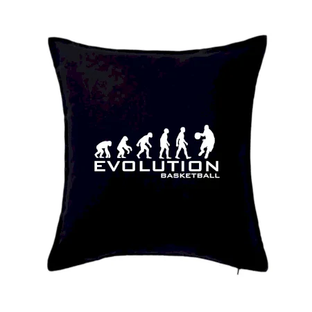 Evoluce Basketball