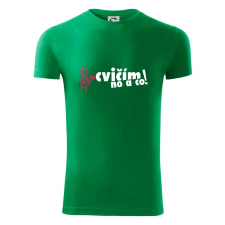 Cvičím no a co!