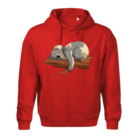 Koala na větvi