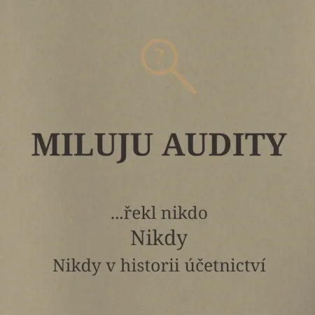 Miluju audity řekl nikdo nikdy