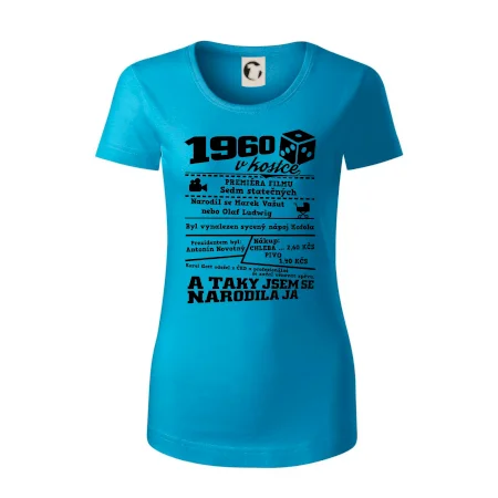 1960 v kostce