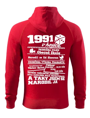 1991 v kostce