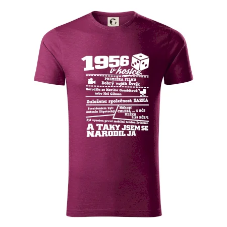 1956 v kostce