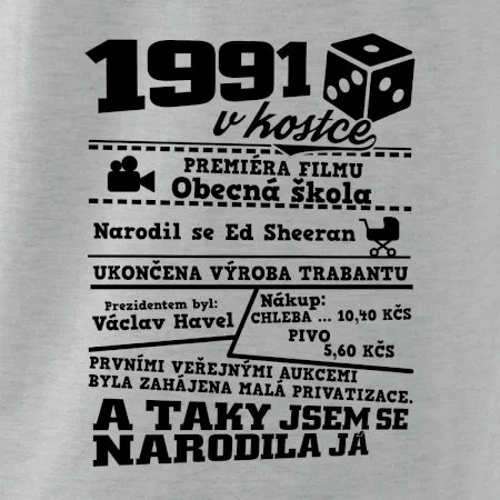 1991 v kostce