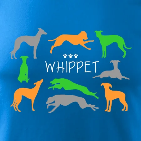Whippet barevný