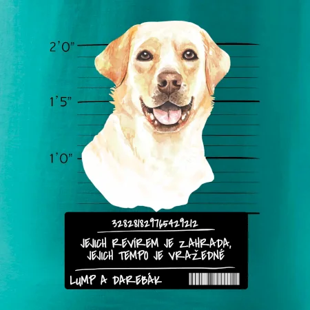 Lump a darebák labrador