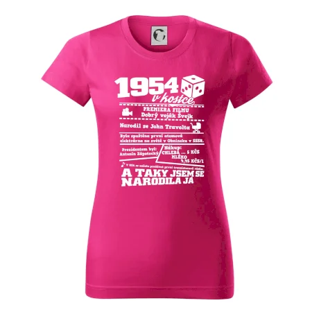 1954 v kostce