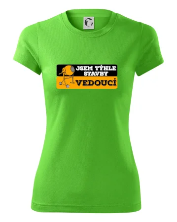 Jsem týhle stavby vedoucí