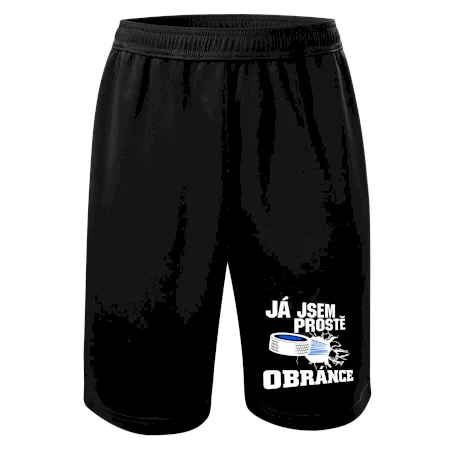 Já jsem prostě obránce (hokej)