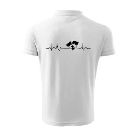 Jack Russell Terriér hrubosrstý Ekg