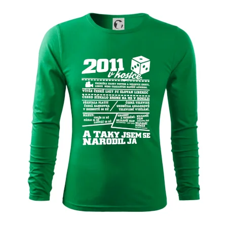 2011 v kostce