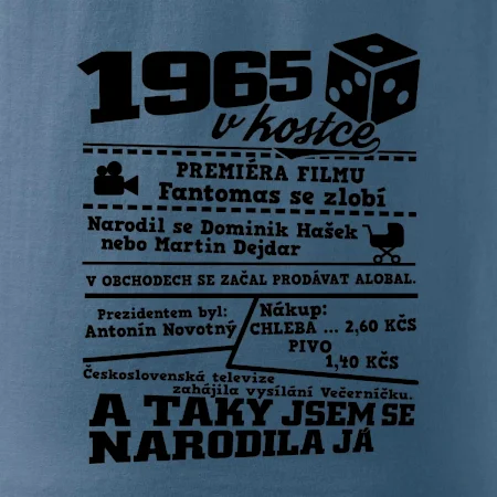 1965 v kostce