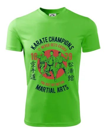 Karate Champions
