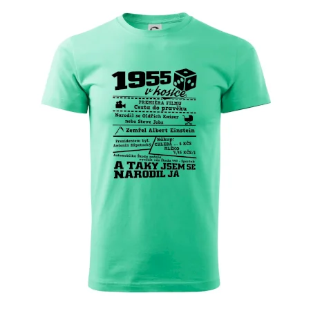 1955 v kostce