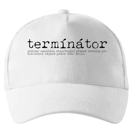 Čeština 2.0 - termínátor