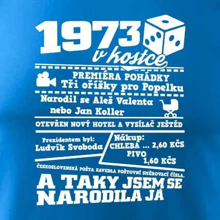 1973 v kostce