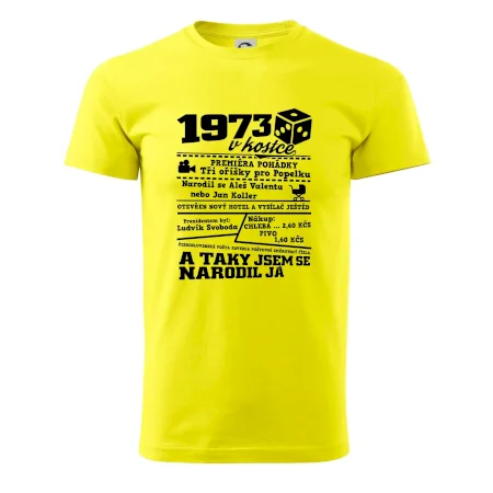 1973 v kostce