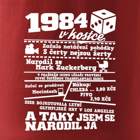 1984 v kostce
