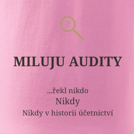Miluju audity řekl nikdo nikdy