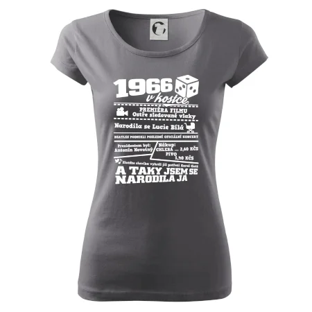 1966 v kostce