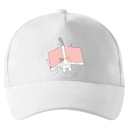 Učení na státnice kočka